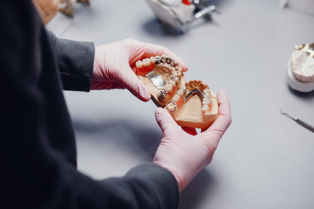 Close-Up Of An Artificial Jaw Model In A Dental Office